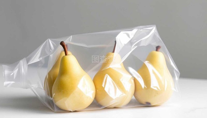 选购真空泵的全面指导：让工作更高效